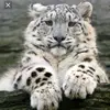 Ariel_Holcombe09 - @ariel_holcombe09 - TikTok