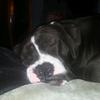 ❤Bentley❤ - @arielkerr674 - TikTok