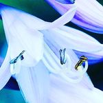 sarah126 - @arielkerrett - Instagram