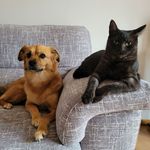 Lilly&Ariel&Nala - @lilly15_ariel20_nala23 - Instagram