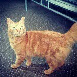 Ariel - @ariel_mann_ - Instagram