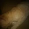 Fernanda Lagraña - @arielmann - TikTok