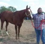 Jesus Ariel Mares - Facebook