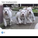 Ariel Marron - Facebook