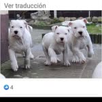 Ariel Marron - @aroelarron - Instagram