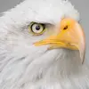 arielmathias479 - @arielmathias479 - TikTok