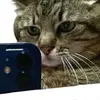 Mathias Ariel - @mathias.ariel3 - TikTok