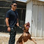 Ariel Mayer - @ariel_mayer_k9 - Instagram