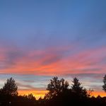 @arielmclaughlin - Instagram