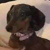 Arielle - @ariellemock - TikTok