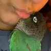 arielmoniz606 - @arielmoniz606 - TikTok