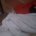 Ariel Muniz - @deboramuniz756 - Instagram