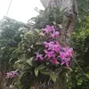 ARIEL PAUL - @ariel.paul - TikTok