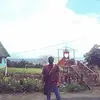 ARIEL_Peace19 - @ariel_peace19 - TikTok