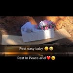 Jessica Coleman - @rest.in.peace.ariel - Instagram