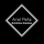 Ariel Peña - @arielpenagroomer - Instagram