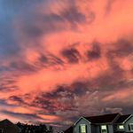 Ariel - @ariel.spence_7n7p - Instagram