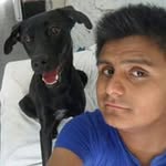 Ariel Pereda - @ariel_pereda - Instagram