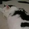 ari_3768 - @ariellaharrypersad - TikTok