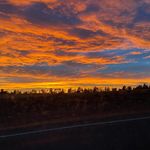 Ariel Petersen - @arielpetersen123 - Instagram