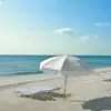 ariel - @ariel.petitgeni - TikTok