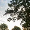 arielschinopike - @arielschinopike - TikTok