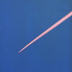 Ariel Pink - Facebook