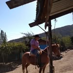 Ariel Pino - @ariel.pino71 - Instagram
