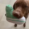 Ariel Pollock - @ariel.pollock - TikTok
