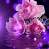 arielpoole8vuyt - @arielpoole8vuyt - TikTok