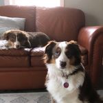 Ariel & Poppy - @ariel.and.poppy - Instagram