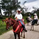 Ariel_prieto - @ariel_prieto29 - Instagram