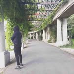 ARIEL - @arielpughp.q.2 - Instagram