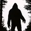 ArielvRandall_P_VZ - @mimi30993 - TikTok