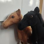Anita Budzyńska - @ariel_i_raven - Instagram