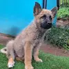 Ariel Rayo - @ariel03.ani09 - TikTok