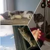 Ariel.Sasha.Renaud - @ariel.sasha.renaud - TikTok