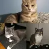 Renaud.Ariel.Sasha - @sasha.renaud.ariel - TikTok
