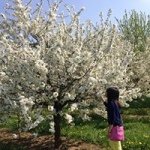 Ariel Tsang-Richter - @tsang_richter - Instagram