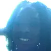 ariel riley - @arielriley0 - TikTok