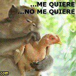 ariel rincon - @arielrincon0440 - Instagram
