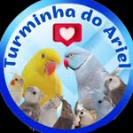 Turminha do Ariel - @arielring - Instagram