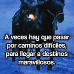 Ariel Rivero - @ariel_rivero - Instagram