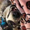 Ariel.robbins.12 - @ariel.robbins121125 - TikTok