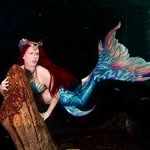 🫧Mermaid Ariel starfish🫧 - @ariel_starfish - Instagram