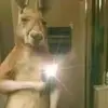 Ariel Valverde - @ariel.valverde13 - TikTok