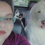 Ariel Velarde - @velarde3648 - Instagram