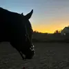 ariel_weird - @ariel_weird - TikTok