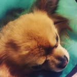 Ariel_xx - @im_weird_ariel_ - Instagram