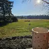 Ariel Boyd - @ariel.boyd0 - TikTok
